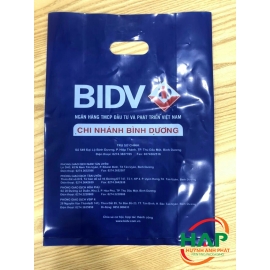 Túi Ngân Hàng 2024